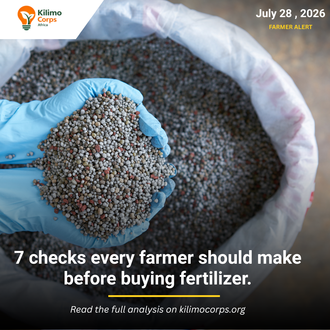 Farmer inspecting fertilizer bags before purchase to avoid counterfeit agricultural inputs.