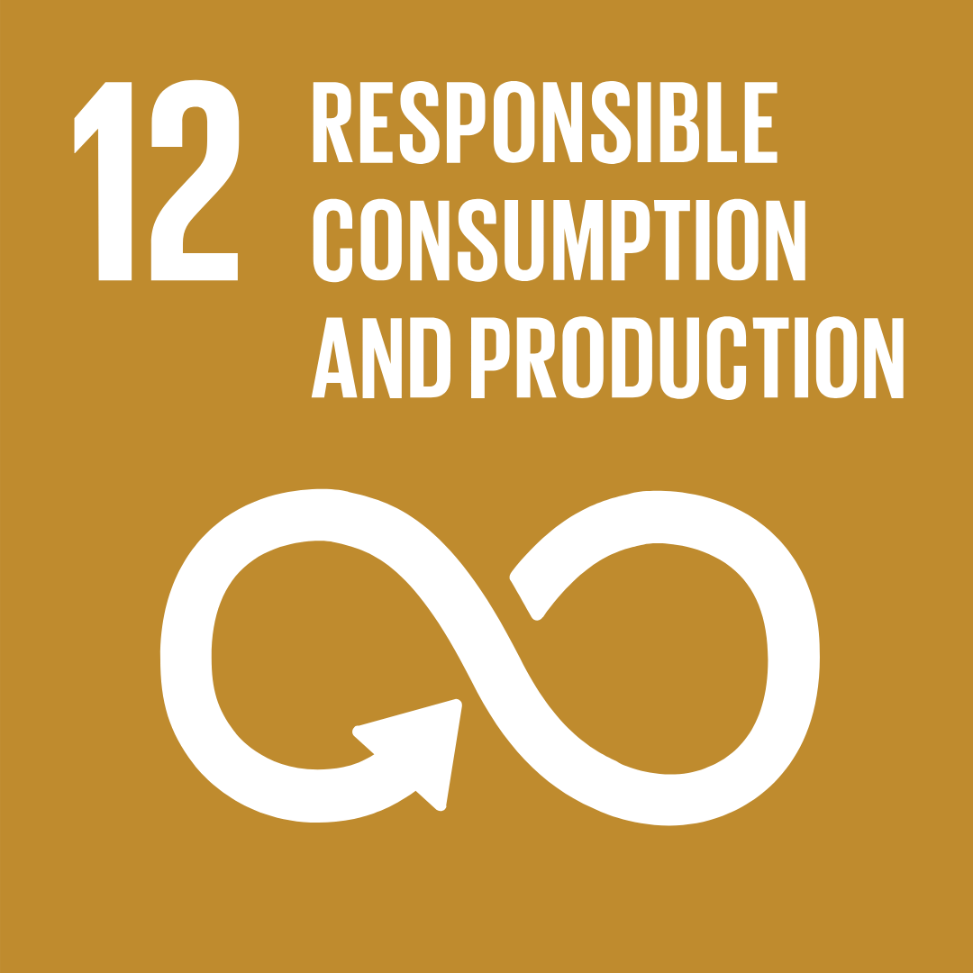 Sustainable Development Goal 12: Responsible Consumption and Production